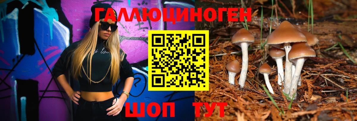 Псилоцибиновые грибы GOLDEN TEACHER Междуреченск