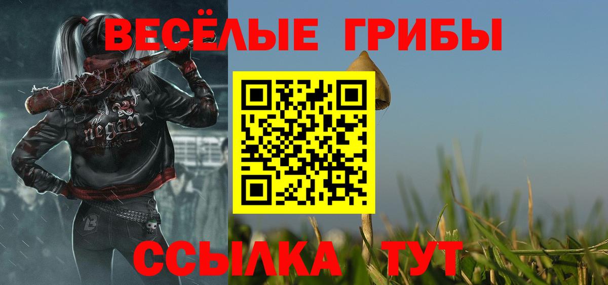 Псилоцибиновые грибы ЛСД  Вход с VPN  Междуреченск 